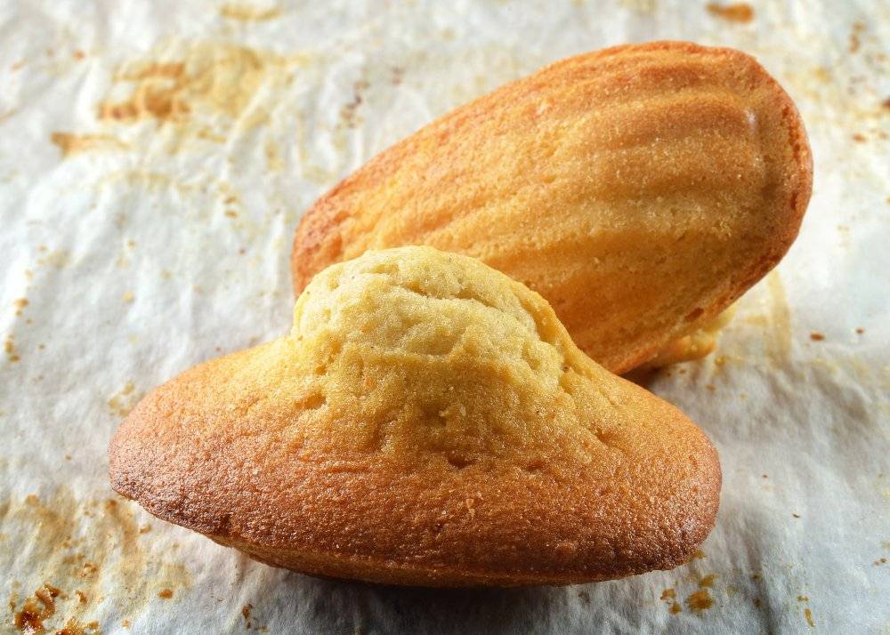 madeleines